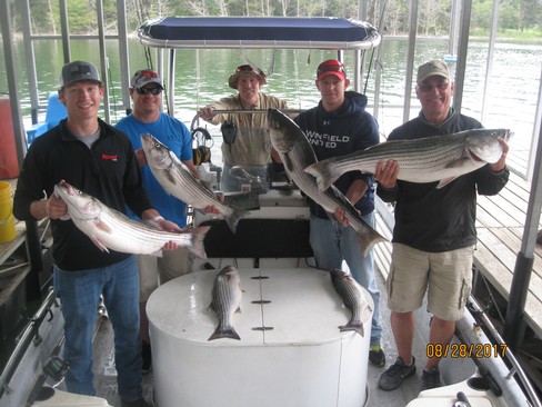 Nice Striped Bass